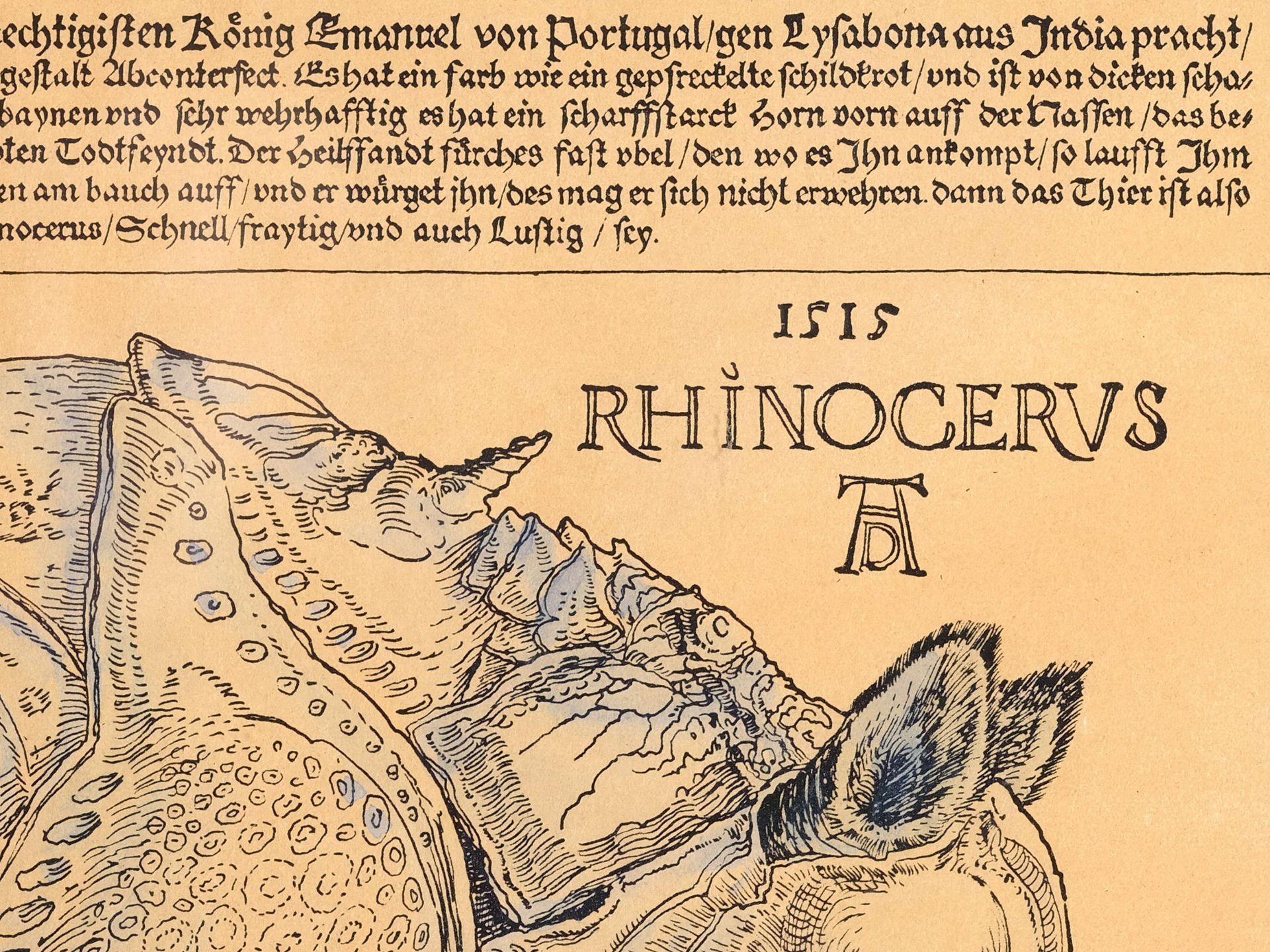 Albrecht Dürer, Nuremberg 1471 - 1528 Nuremberg, follower, The Rhinoceros - Image 3 of 4