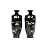 Pair of cloisonné vases