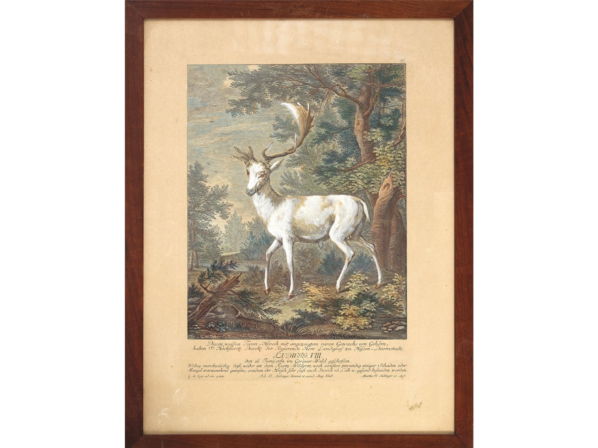 Johann Elias Ridinger, Ulm 1698 - 1767 Augsburg, Fallow deer - Image 2 of 4