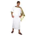 Mens Ancient Roman Costume Size Standard (Delivery Band A)