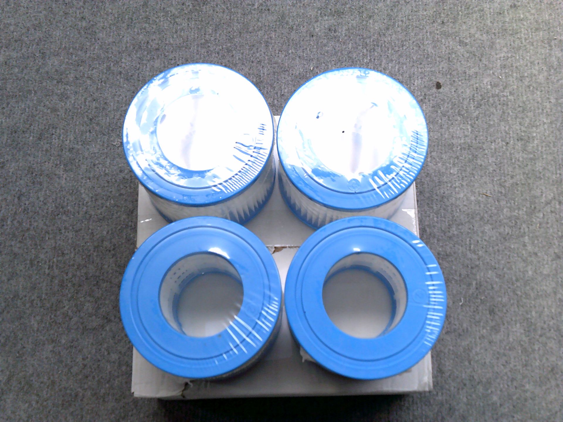 4 pack pool filters (Delivery Band A)