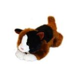 Dowman Soft touch Cat Teddy (Delivery Band A)