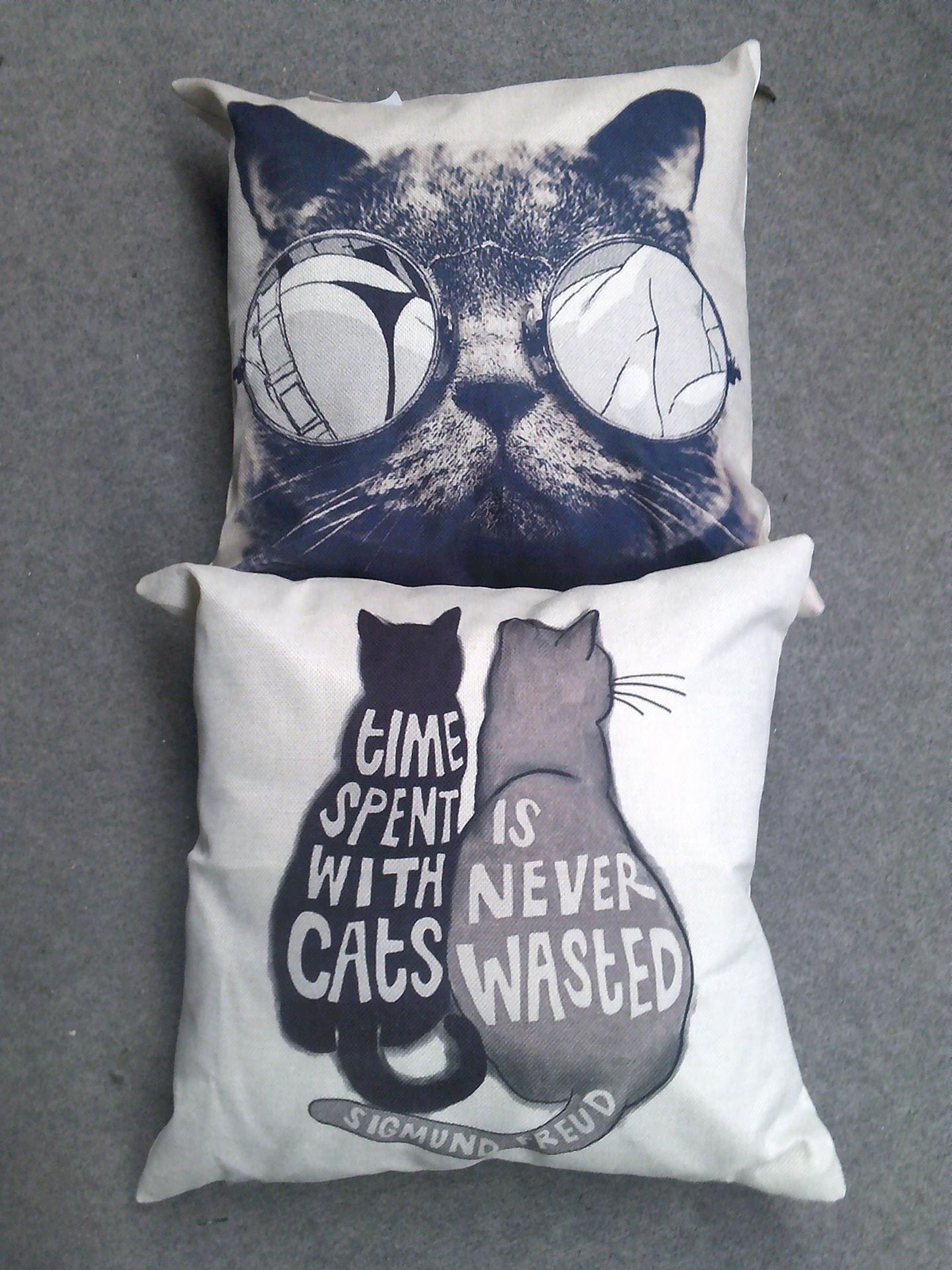 2 x cat print pillows (Delivery Band A)