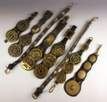 A selection of leather martingales, 19th century and later, each with horse brasses, to include