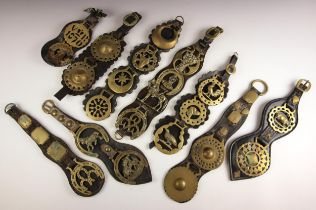 A selection of leather martingales, 19th century and later, each with horse brasses, to include