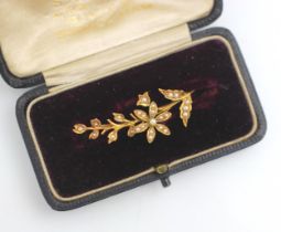 An early 20th century yellow metal and seed pearl spray brooch, the floral sprig with flower head