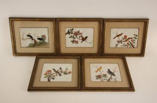 Chinese School (19th century), Set of five Ornithological studies, Gouache on pith paper, 12.5cm x