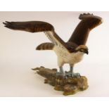 A carved and painted wooden eagle of large proportions, modelled with wings outstretched clasping
