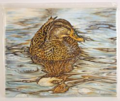 Janet Anne Carden (British contemporary), A female mallard, Oil on canvas, Signed lower left, 40.5cm
