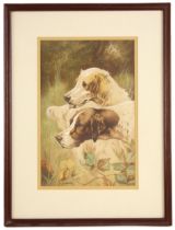 D. Birbeck (British, 20th century), Spaniels among foliage, Watercolour on paper, Signed lower left,