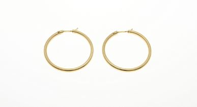 Gold earrings