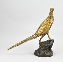 Bronze golden pheasant, 1900