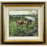 DJ van Haaren, Calves in pasture