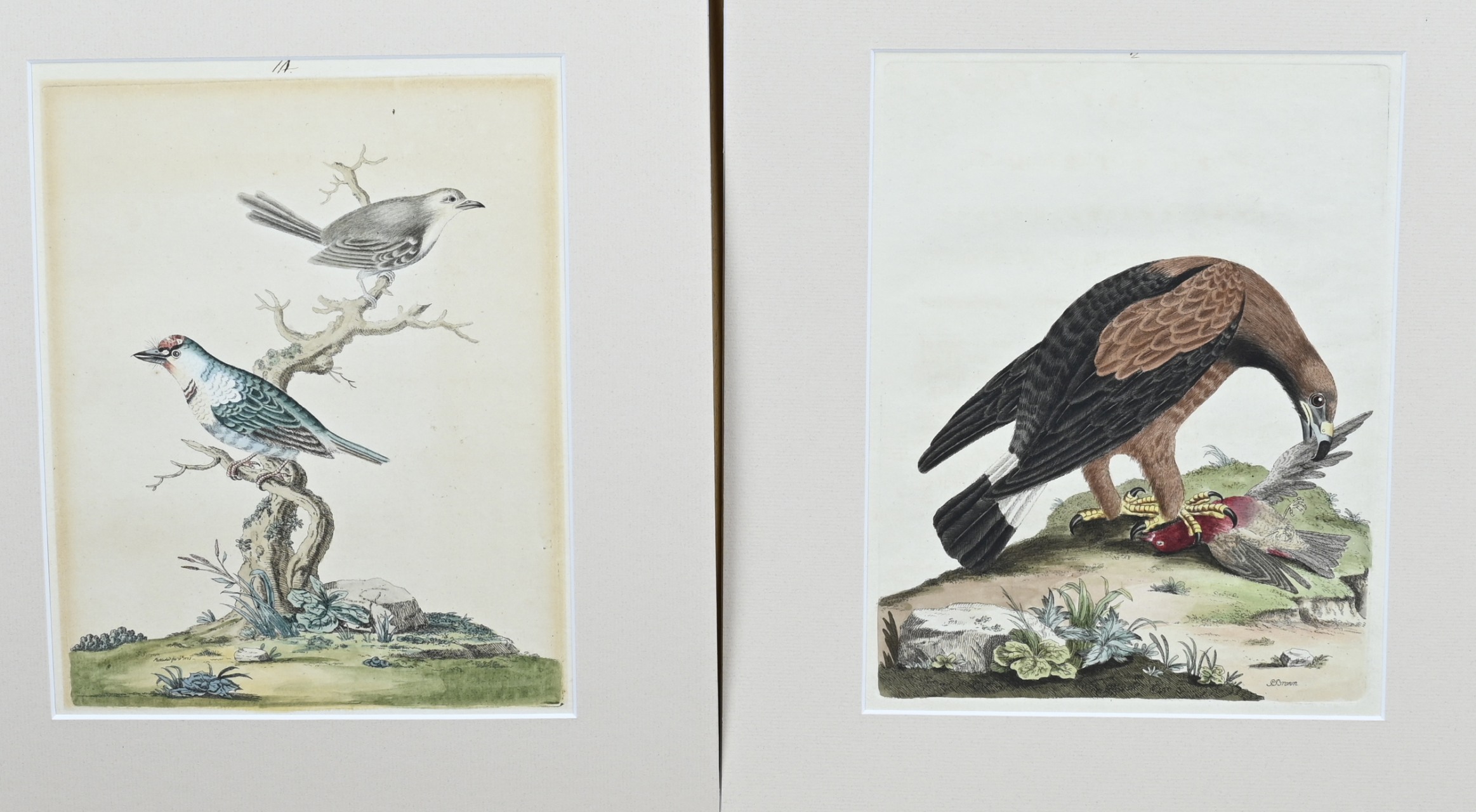 2x Peter Brown, Engravings