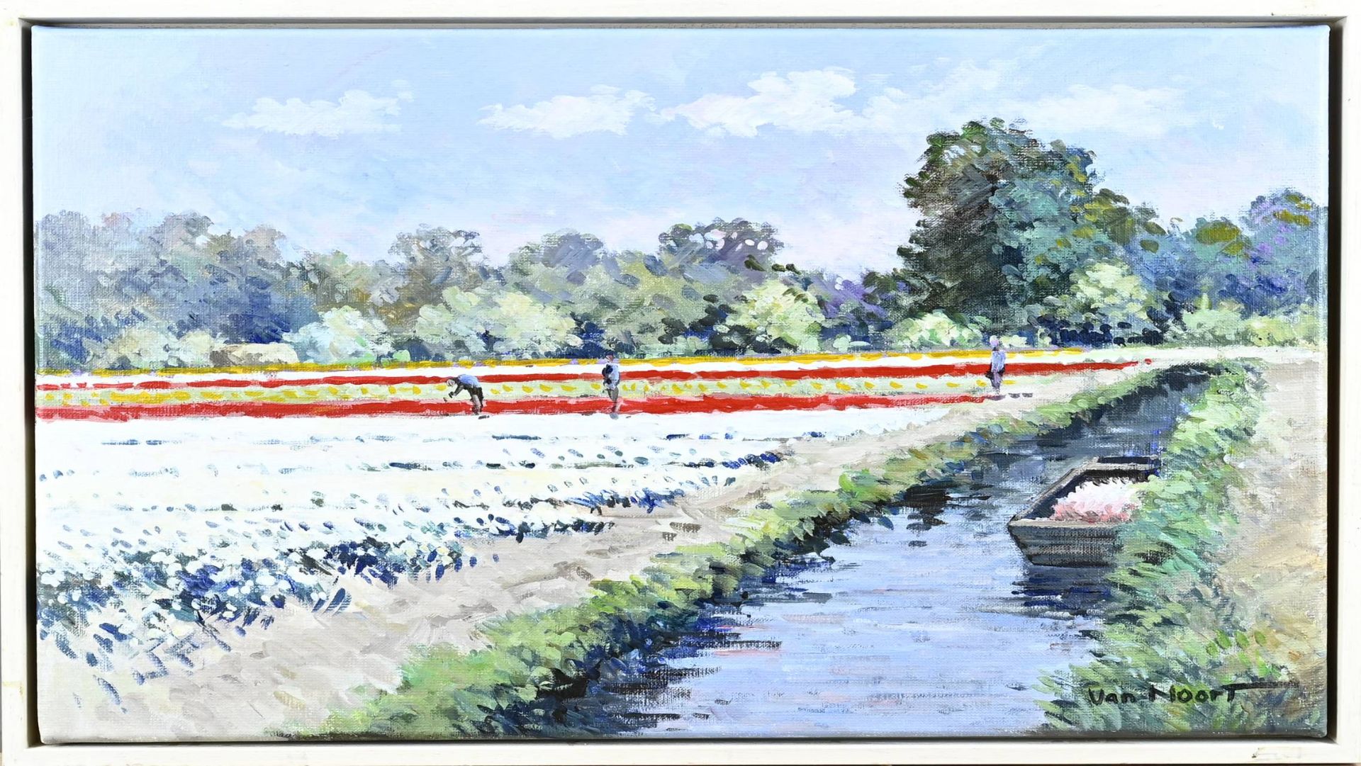 Van Noort, Dutch flower bulb fields with growers