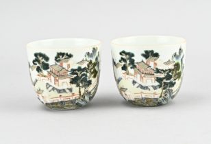 2x Chinese verte cup