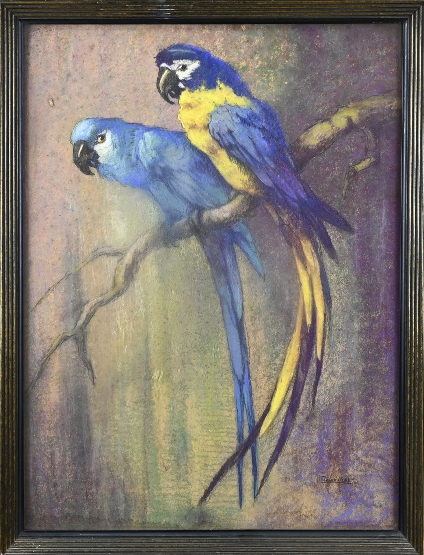 Th. de Waalt, Macaws on a branch