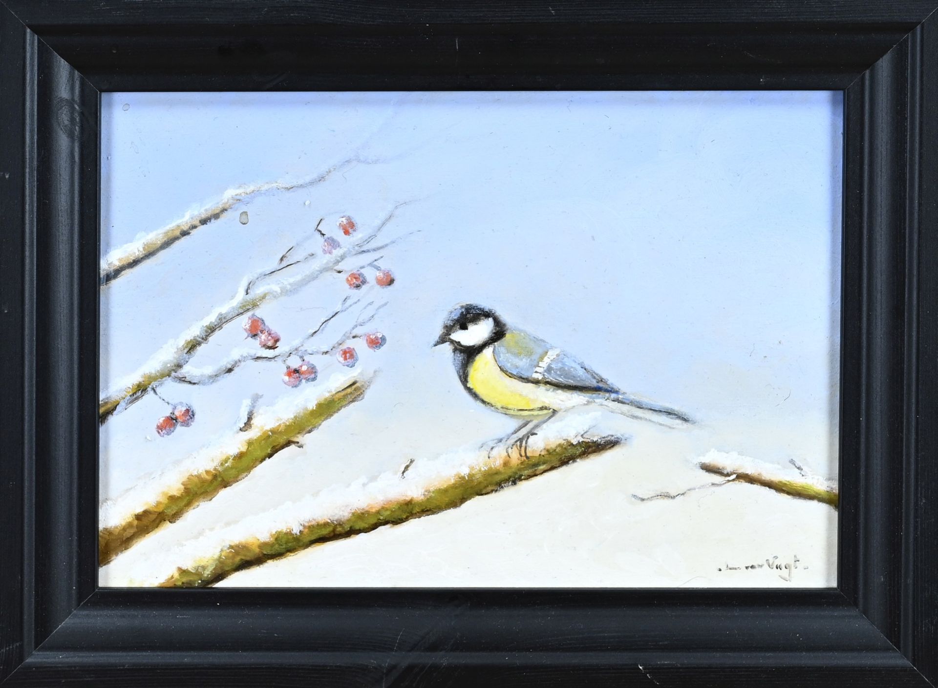 Leo van Vught, Great Tit on snow-covered branch