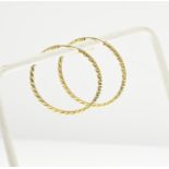 Gold hoop earrings