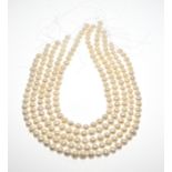 5 Freshwater pearl necklaces