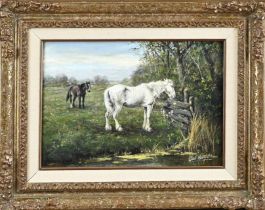 Dirk Meesters, Horses in the meadow