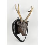 Carved roe deer head