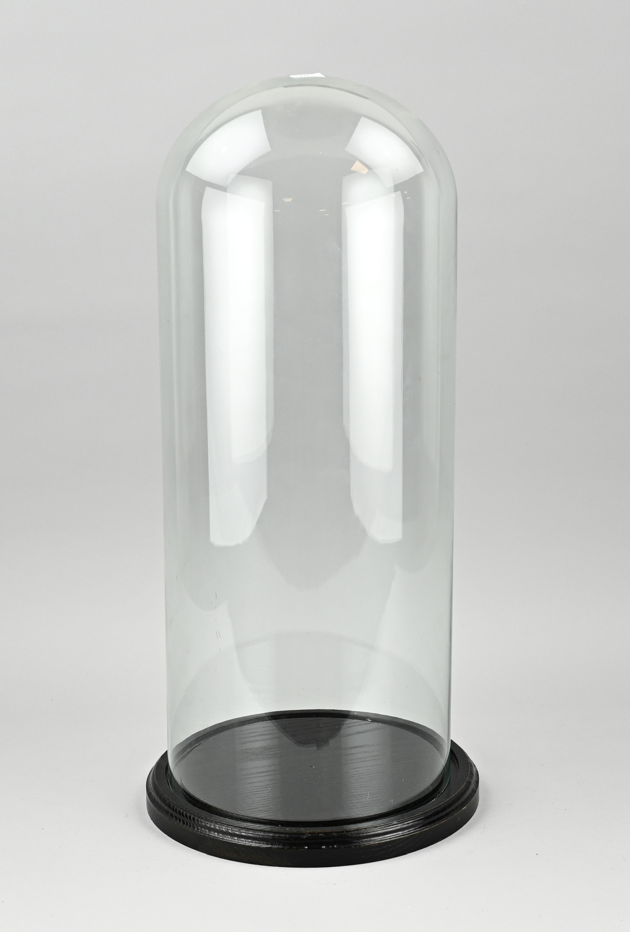 Large glass bell jar