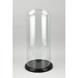 Large glass bell jar