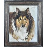 CJ Mension, Portrait collie dog