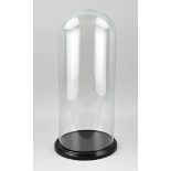 Large glass bell jar