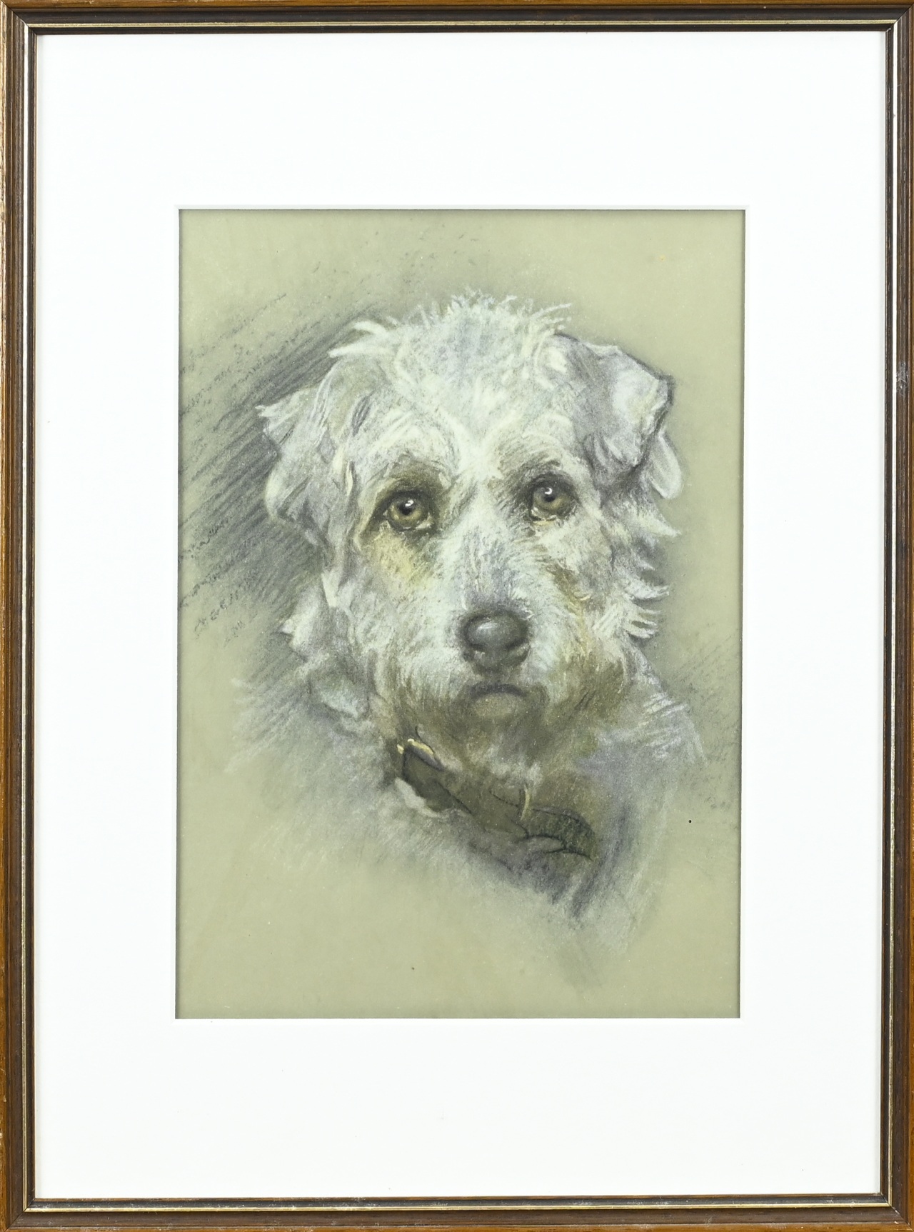 Unsigned, Dog portrait