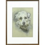 Unsigned, Dog portrait