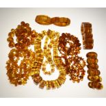 Lot of amber/copal