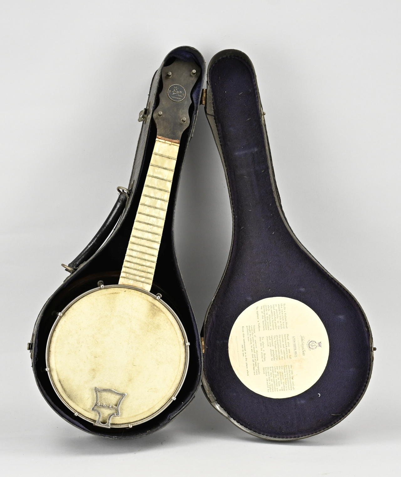 Banjo instrument + case