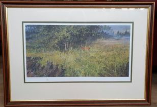 Alan Hayman Royal Fine Art Print of a Roebuck, Limited Edition. Framed and Glazed,