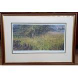 Alan Hayman Royal Fine Art Print of a Roebuck, Limited Edition. Framed and Glazed,