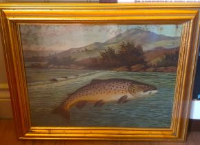 Gilt Framed Print of a Leaping Brown Trout
