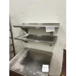 2 X STAINLESS STEEL SHELVES