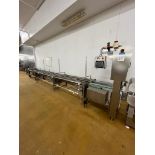 PROSEAL 2 LANE INFEED CONVEYOR