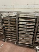 DOUBLE TROLLEYS/RACKS WITH SOME TRAYS