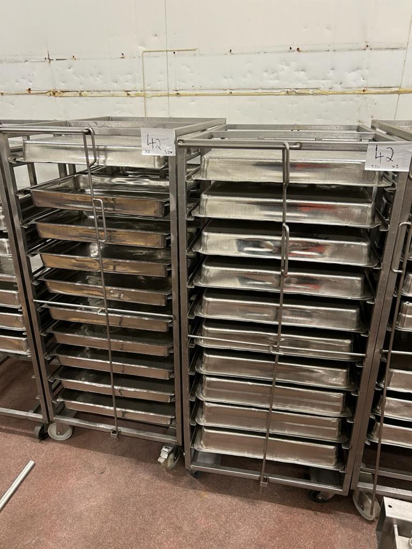 DOUBLE TROLLEYS/RACKS WITH SOME TRAYS