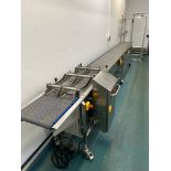 DANTECH PIGS IN BLANKETS ROLLER CONVEYOR