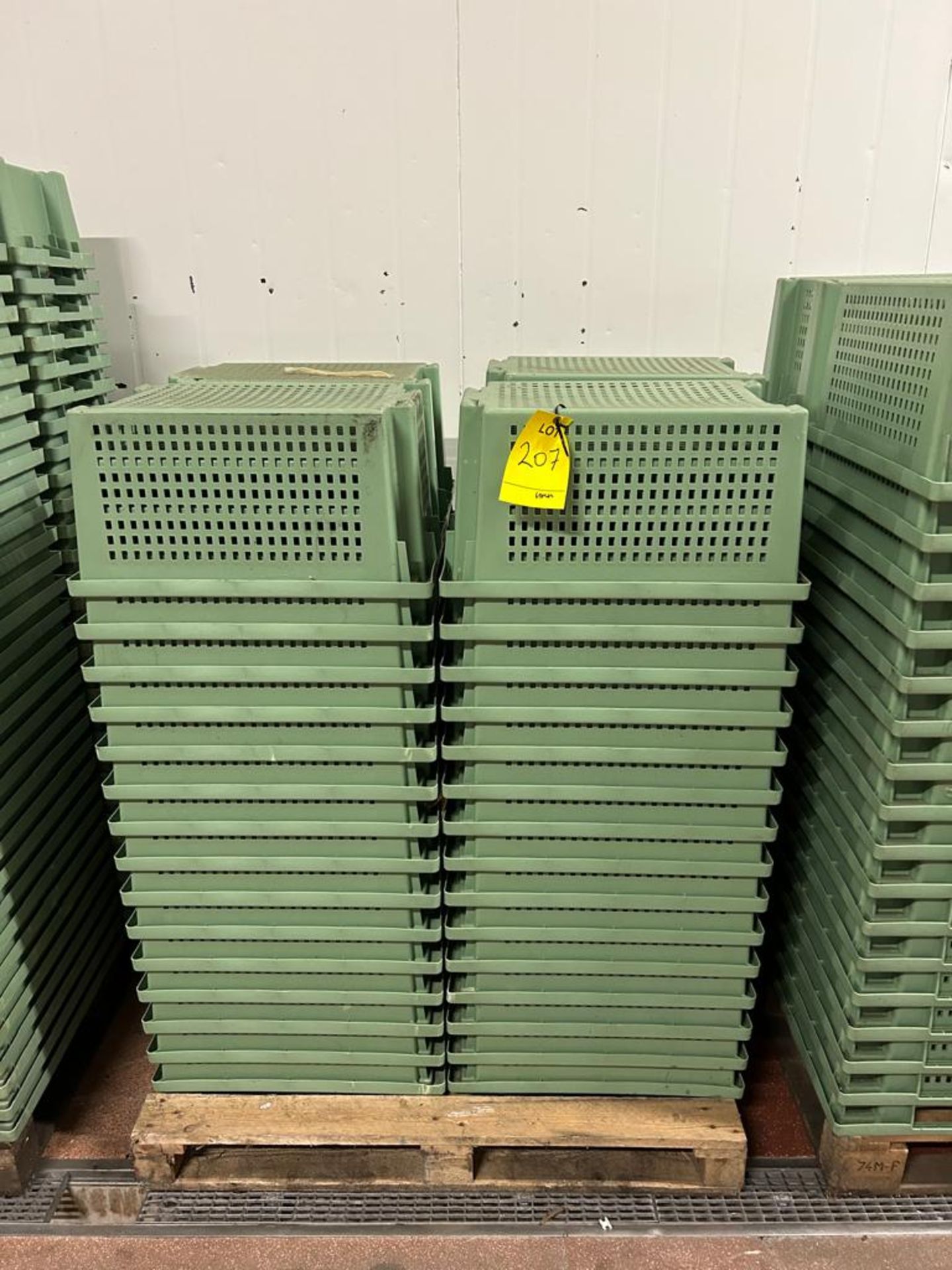 GREEN PERFORATED TRAYS