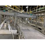Mass Flow Conveyor to Labelers