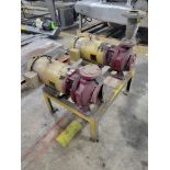 Dual American-Marsh Centrifugal Pumps