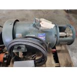 Tri-Flo Pump Motor