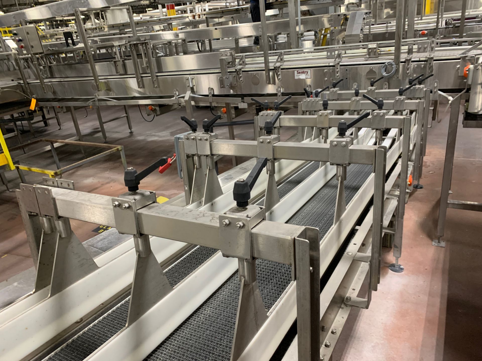 Sentry Carton Conveyor from Divider Switch to Krones Traypacker - Image 11 of 17