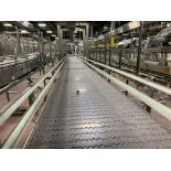 Infeed Mass Flow Conveyor to Krones Traypacker
