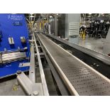 Sentry Case Conveyor from Krones Packer