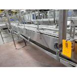 Sentry Mass Flow Conveyor from Cooling Tunnel to Accumulation Table